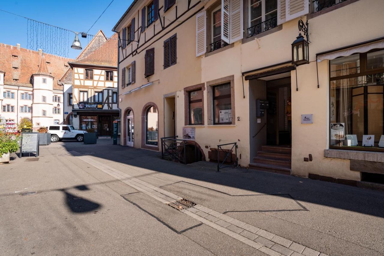 Gite Les Tourterelles Selestat - 30Min Europapark Exterior foto